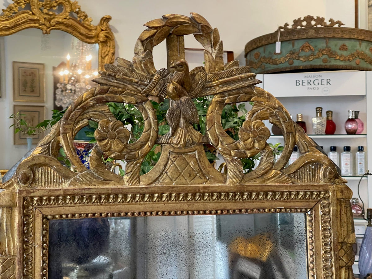 18th Century French Provincial Carved and Gilded Mirror, Molded Bird Crest - Helen Storey Antiques