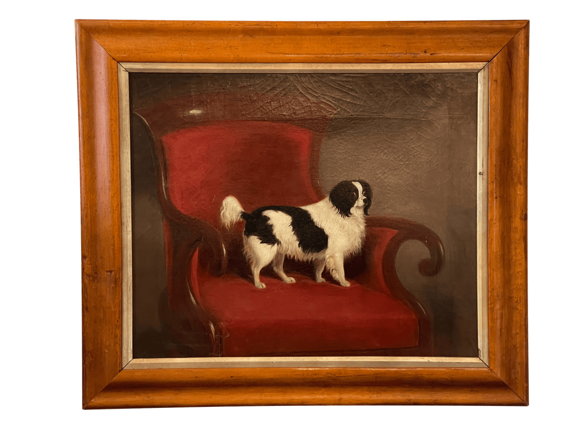 19th Century Charming Oil on Canvas Portrait of a Spaniel - Helen Storey Antiques