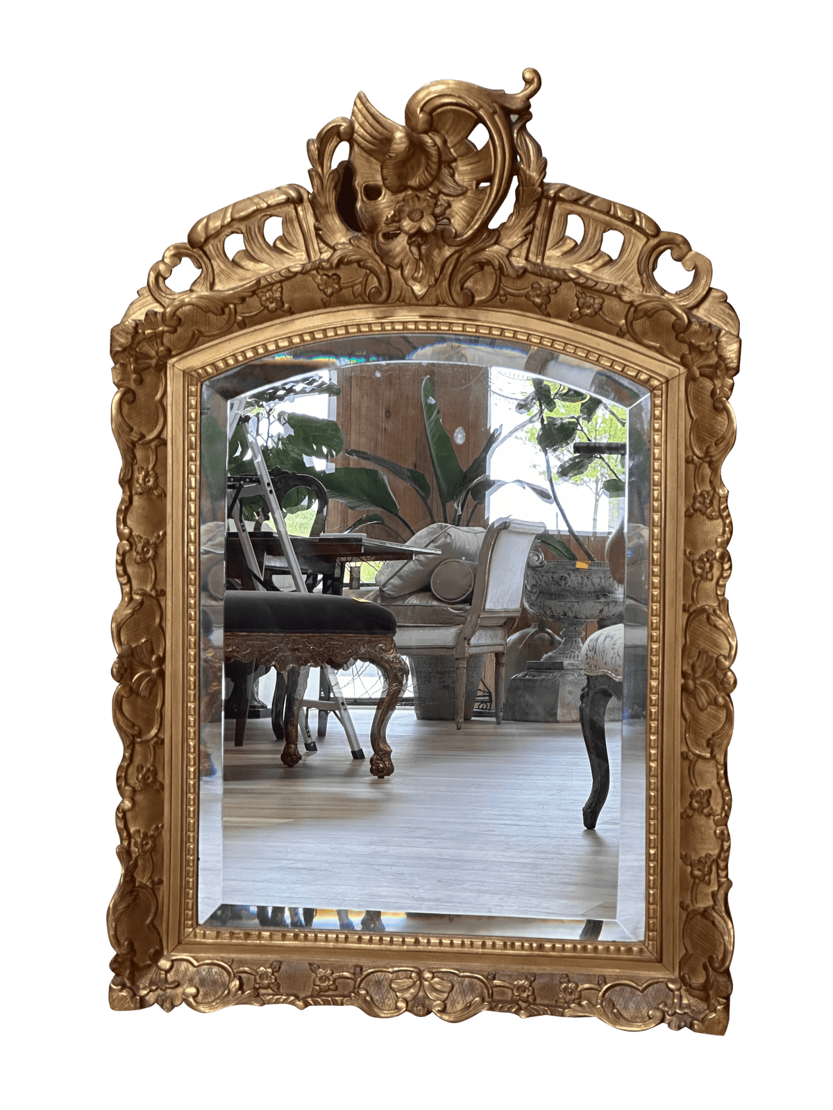 19th Century French Carved, gilded, molded mirror - Helen Storey Antiques