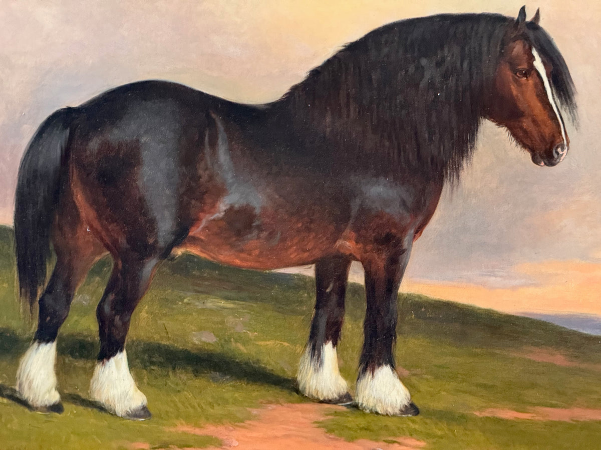 James William Cole (English, act.1849-1889) &quot;Staunton Hero&quot;, Shire stud horse, Oil on Canvas