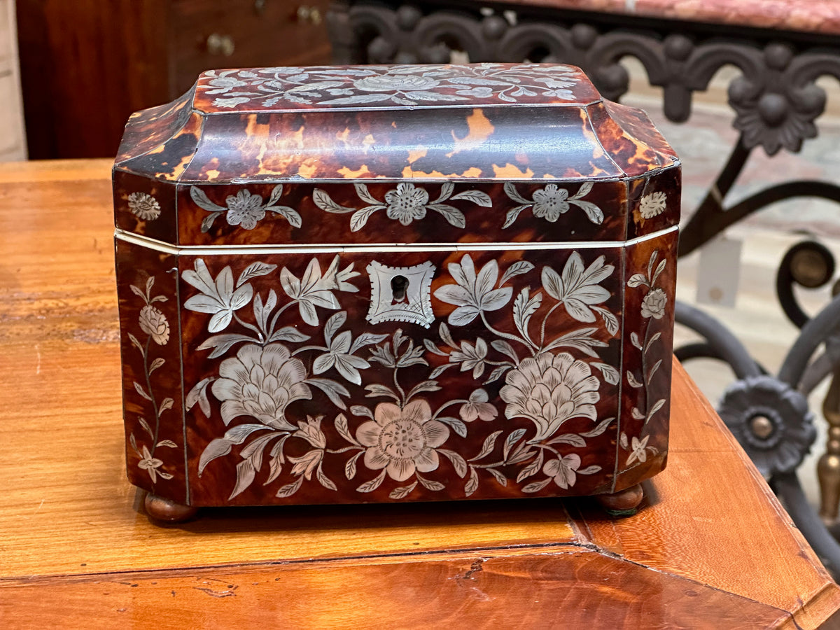 English Regency Period Tortoiseshell Tea Caddy