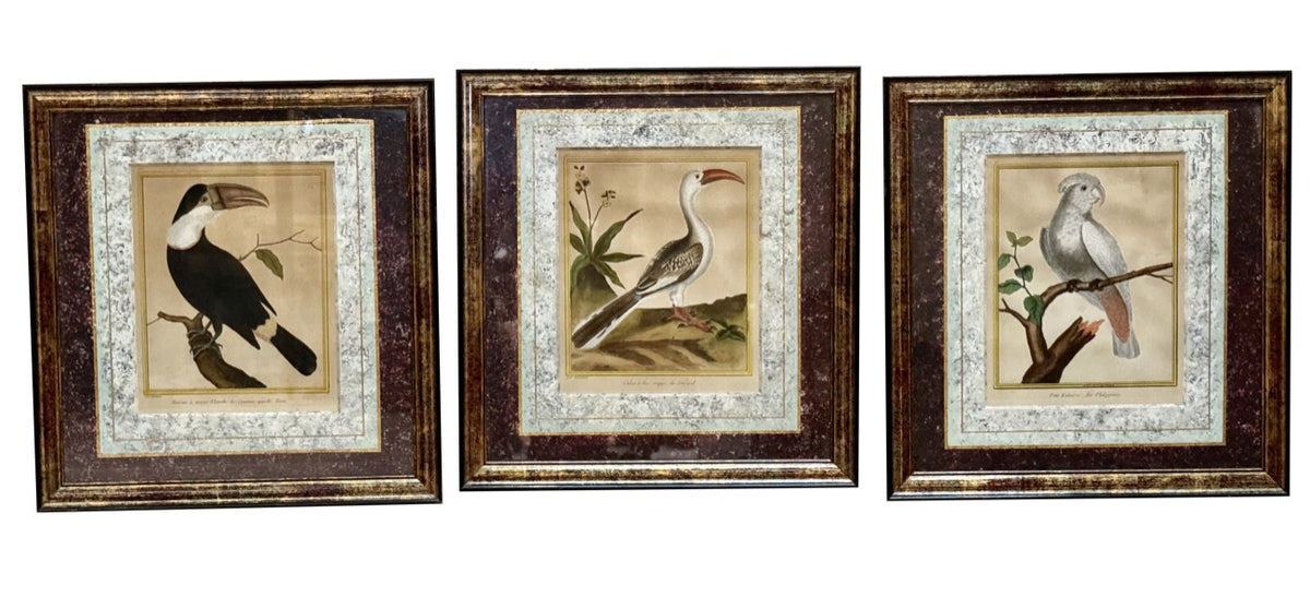 Martinet Engravings, Framed, Set of Three, Late 18th Century