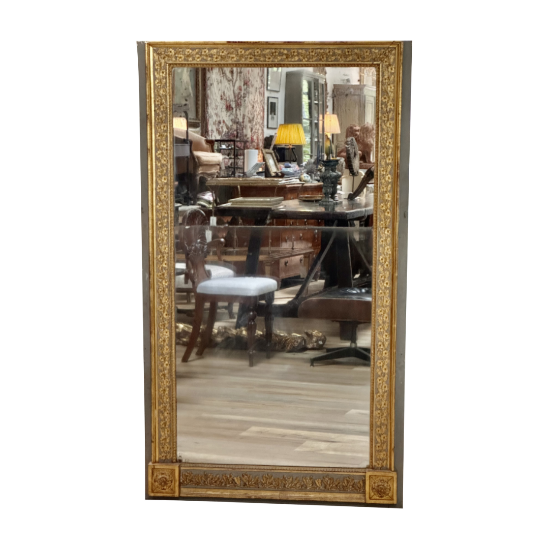 Gorgeous 19th Century Boiserie Panel Mirror