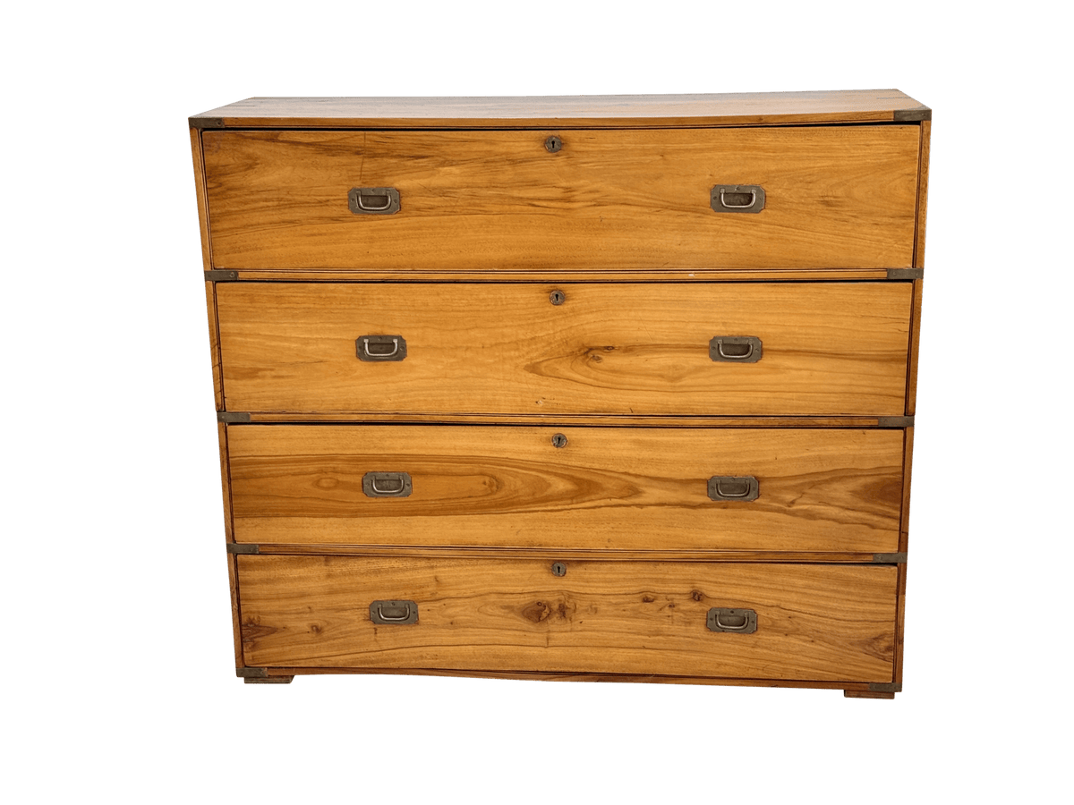 Campaign chest in camphorwood, Anglo - Indian, mid - 19th century - Helen Storey Antiques