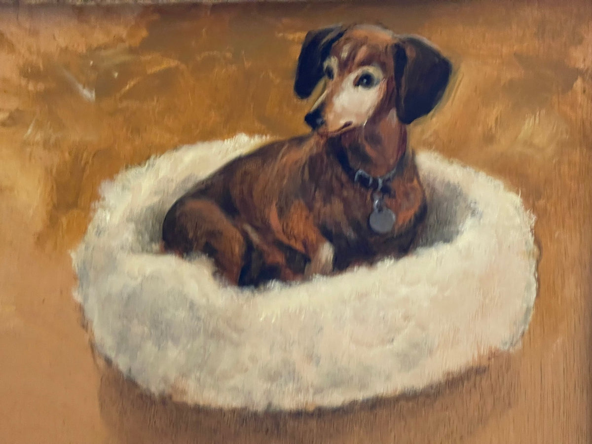 Charming Dachshund painting, Oil on Board by Henry Koehler - Helen Storey Antiques