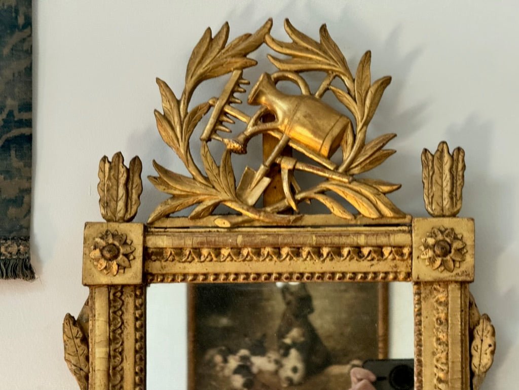 Charming Small French Provincial Carved and Gilded Mirror - Helen Storey Antiques