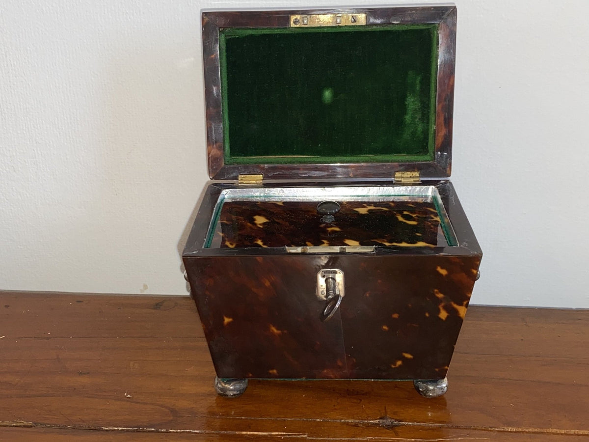 Charming Tortoiseshell Tea Caddy, Sterling Mounted - Helen Storey Antiques