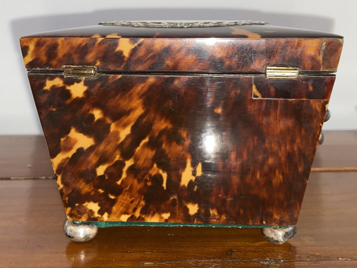 Charming Tortoiseshell Tea Caddy, Sterling Mounted - Helen Storey Antiques