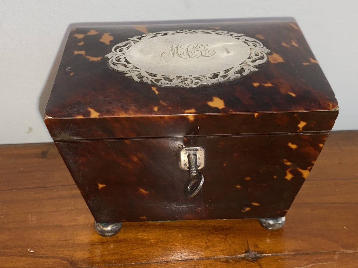 Charming Tortoiseshell Tea Caddy, Sterling Mounted - Helen Storey Antiques