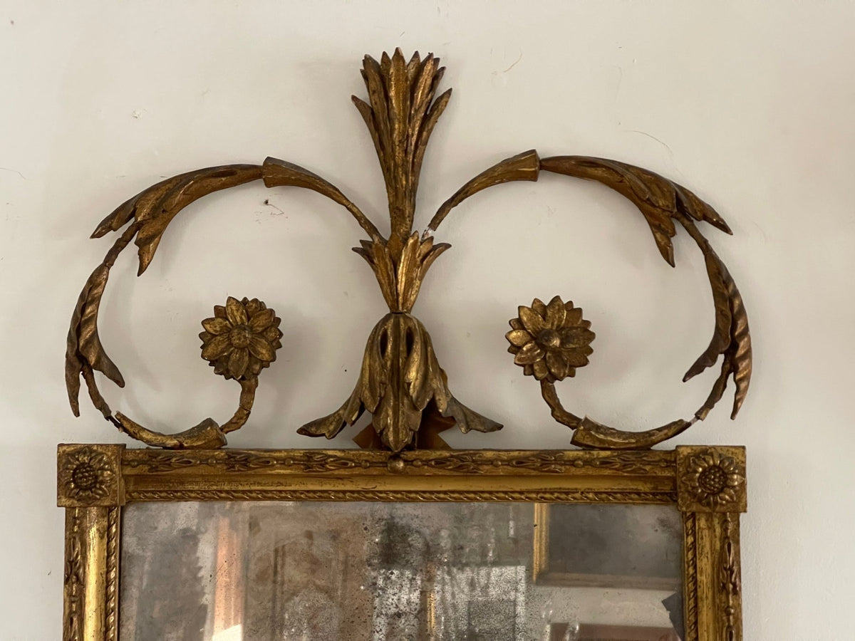 Elegant Continental Baroque Carved &amp; Gilded Mirror 18th Century - Helen Storey Antiques