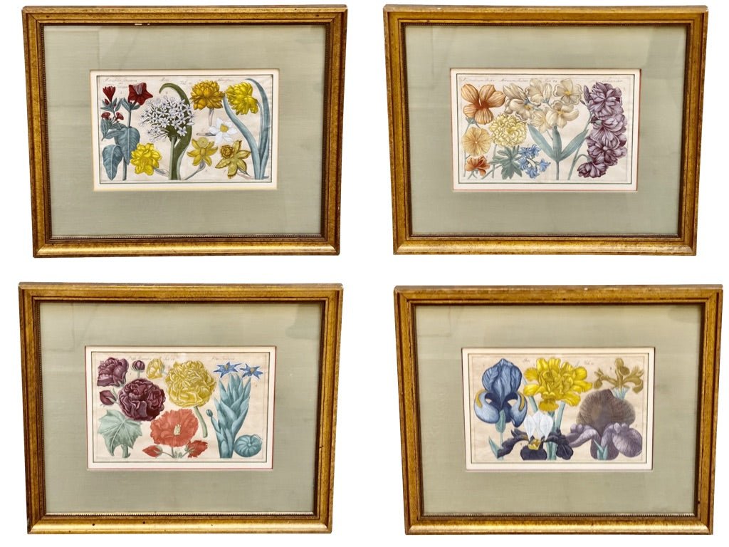 Four Framed Botanical Engravings, 18th Century - Helen Storey Antiques