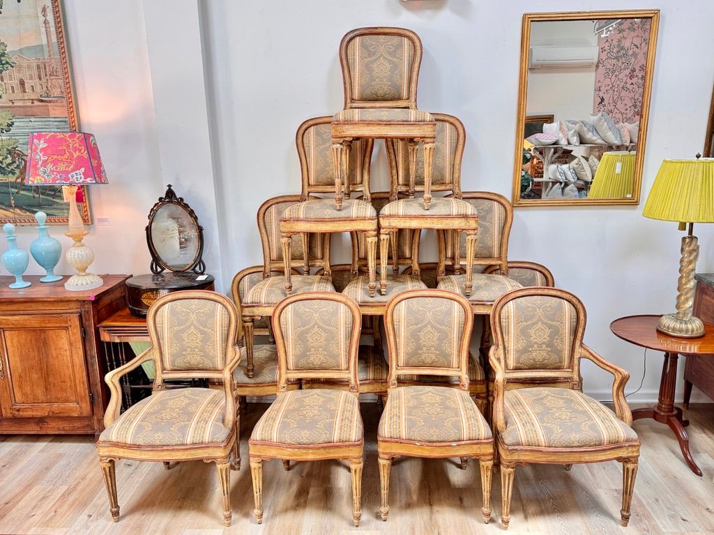 Fourteen Italian Louis XVI period laccatura dining chairs, 18th c. - Helen Storey Antiques