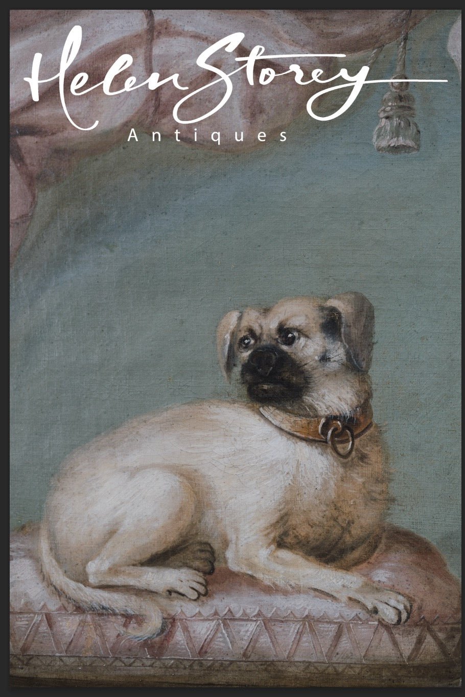 French School 18th Century Pug Oil on Canvas - Helen Storey Antiques