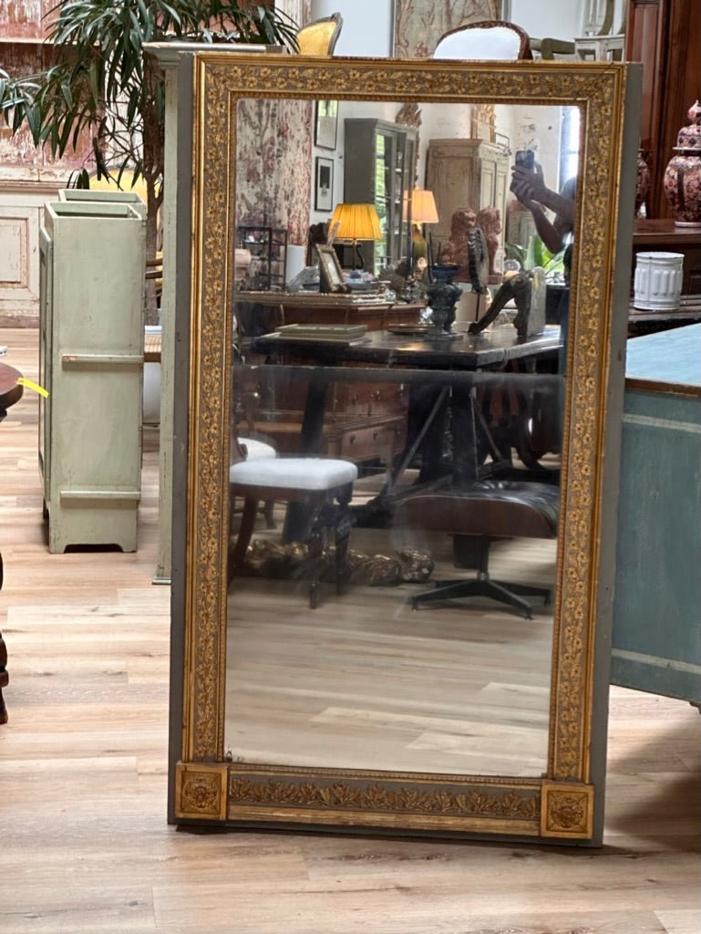 Gorgeous 19th Century Boiserie Panel Mirror - Helen Storey Antiques