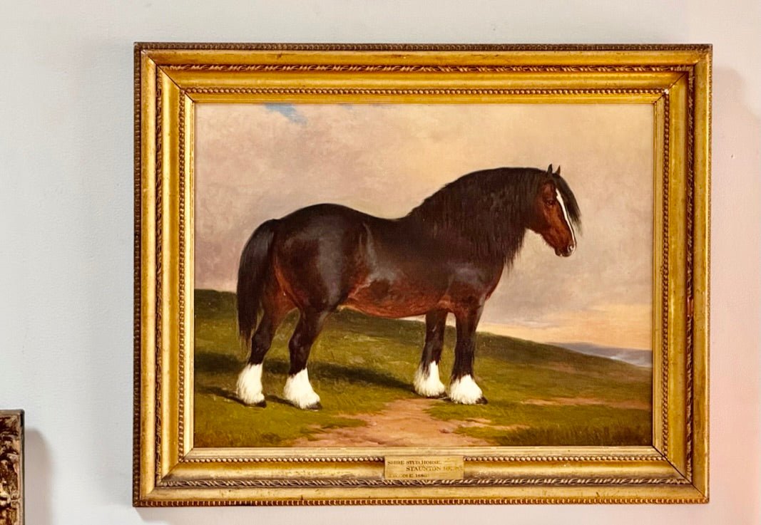 James William Cole (English, act.1849 - 1889) &quot;Staunton Hero&quot;, Shire stud horse, dated 1886. - Helen Storey Antiques