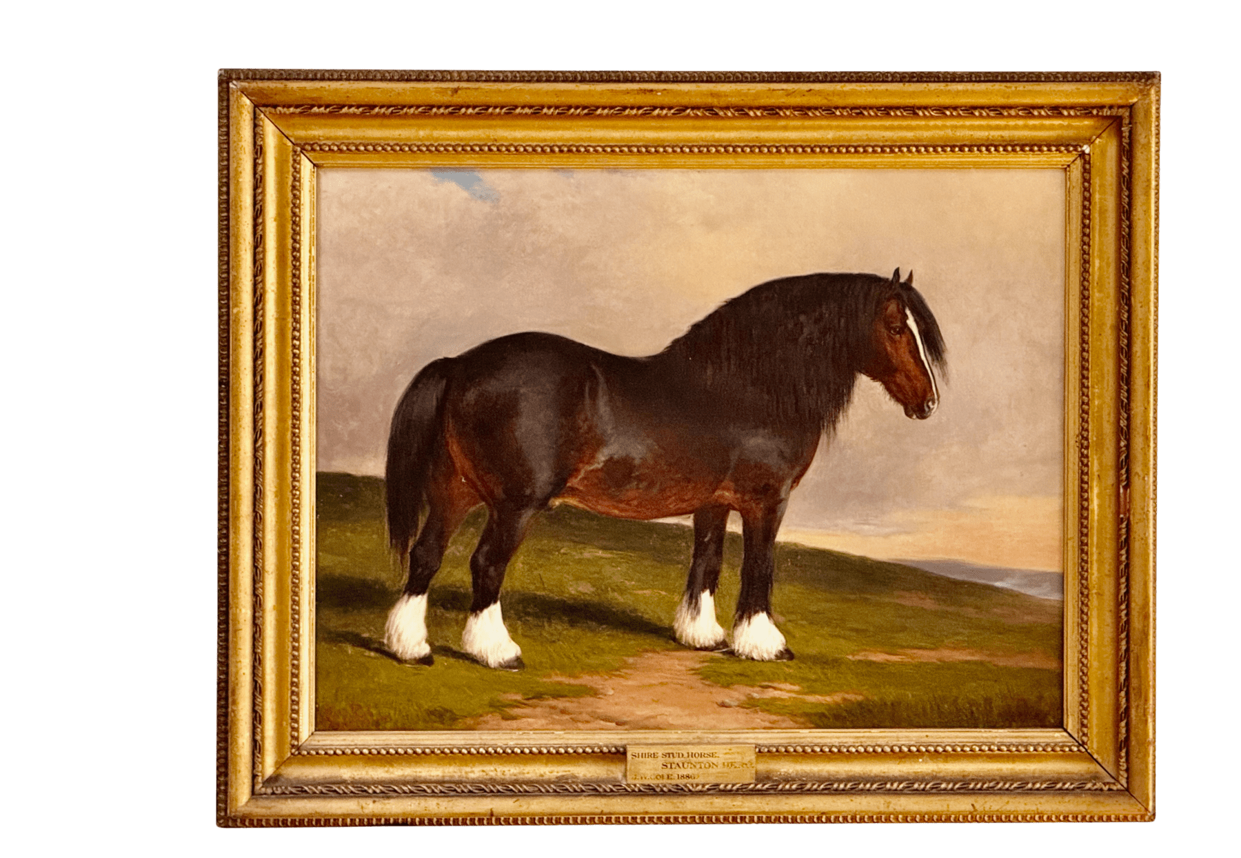 James William Cole (English, act.1849-1889) "Staunton Hero", Shire stud horse, Oil on Canvas