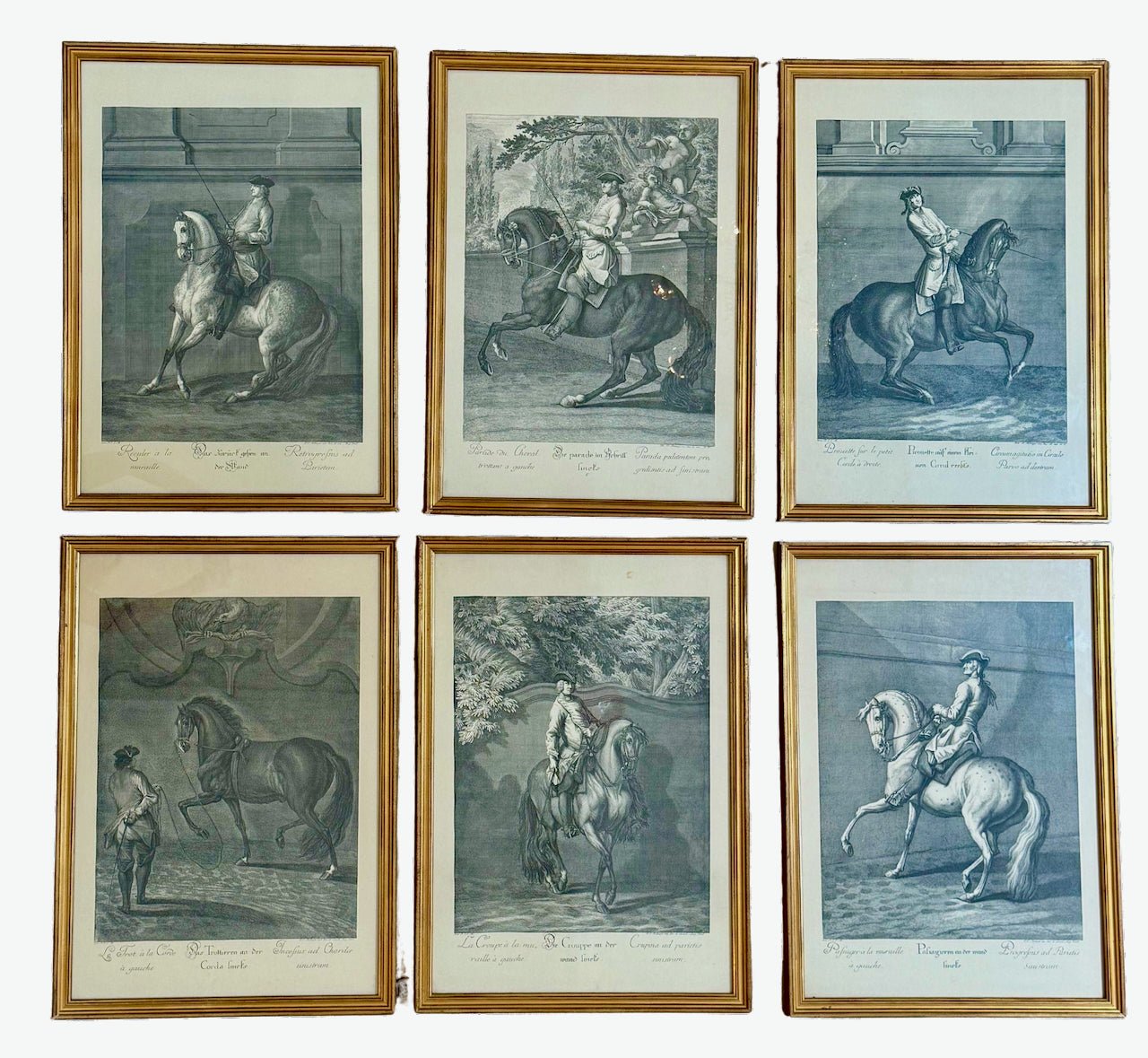 Johann Elias Ridinger (German, 1698–1767).&nbsp; Set of six; Equestrian Lithographs