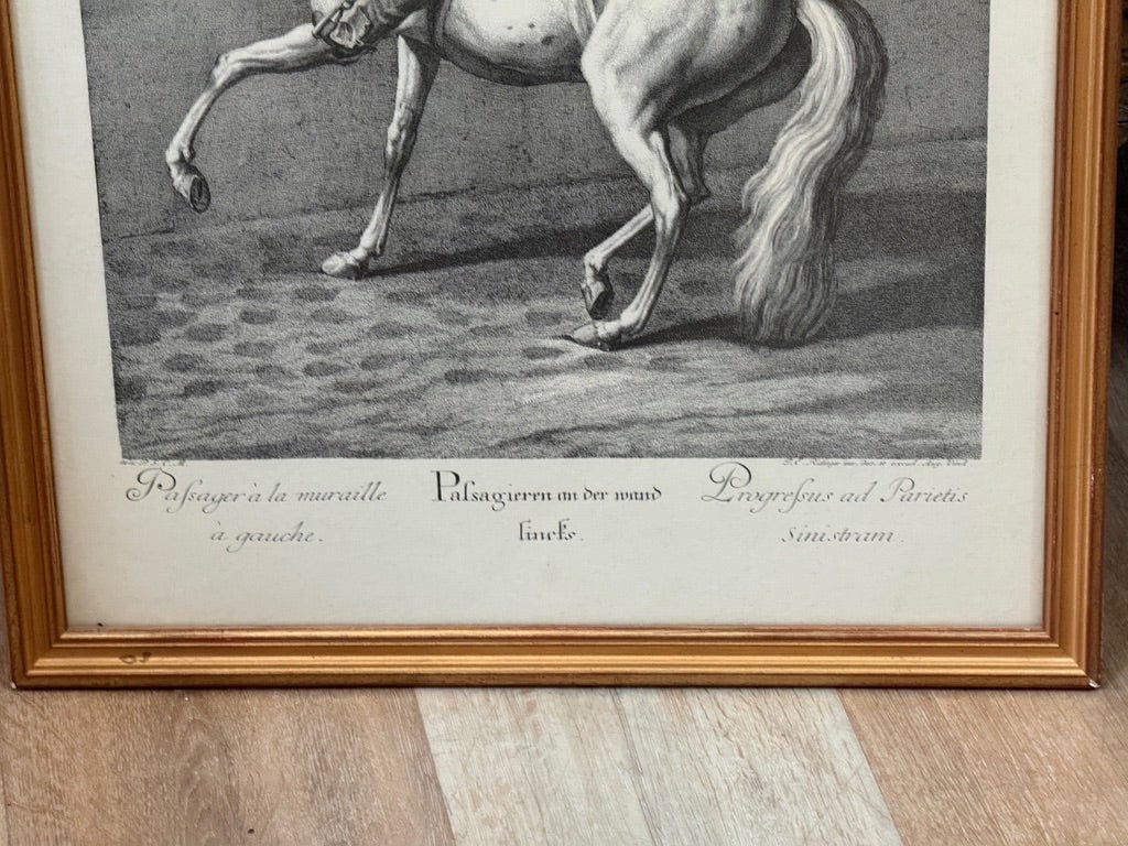 Johann Elias Ridinger (German, 1698–1767).&nbsp; Set of six; Equestrian Lithographs - Helen Storey Antiques