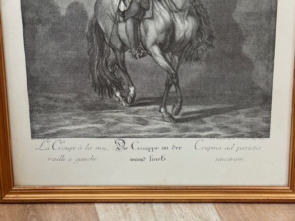 Johann Elias Ridinger (German, 1698–1767).&nbsp; Set of six; Equestrian Lithographs - Helen Storey Antiques