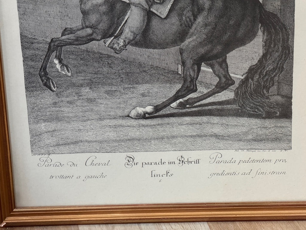Johann Elias Ridinger (German, 1698–1767).&nbsp; Set of six; Equestrian Lithographs - Helen Storey Antiques