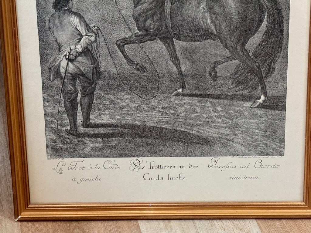 Johann Elias Ridinger (German, 1698–1767).&nbsp; Set of six; Equestrian Lithographs - Helen Storey Antiques