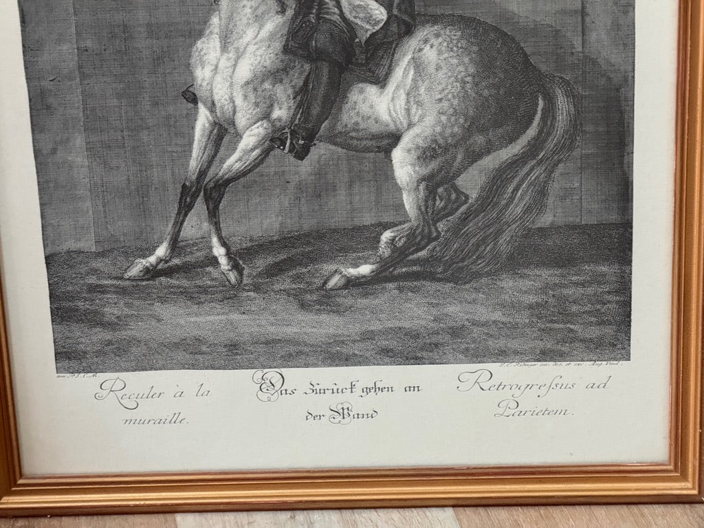 Johann Elias Ridinger (German, 1698–1767).&nbsp; Set of six; Equestrian Lithographs - Helen Storey Antiques