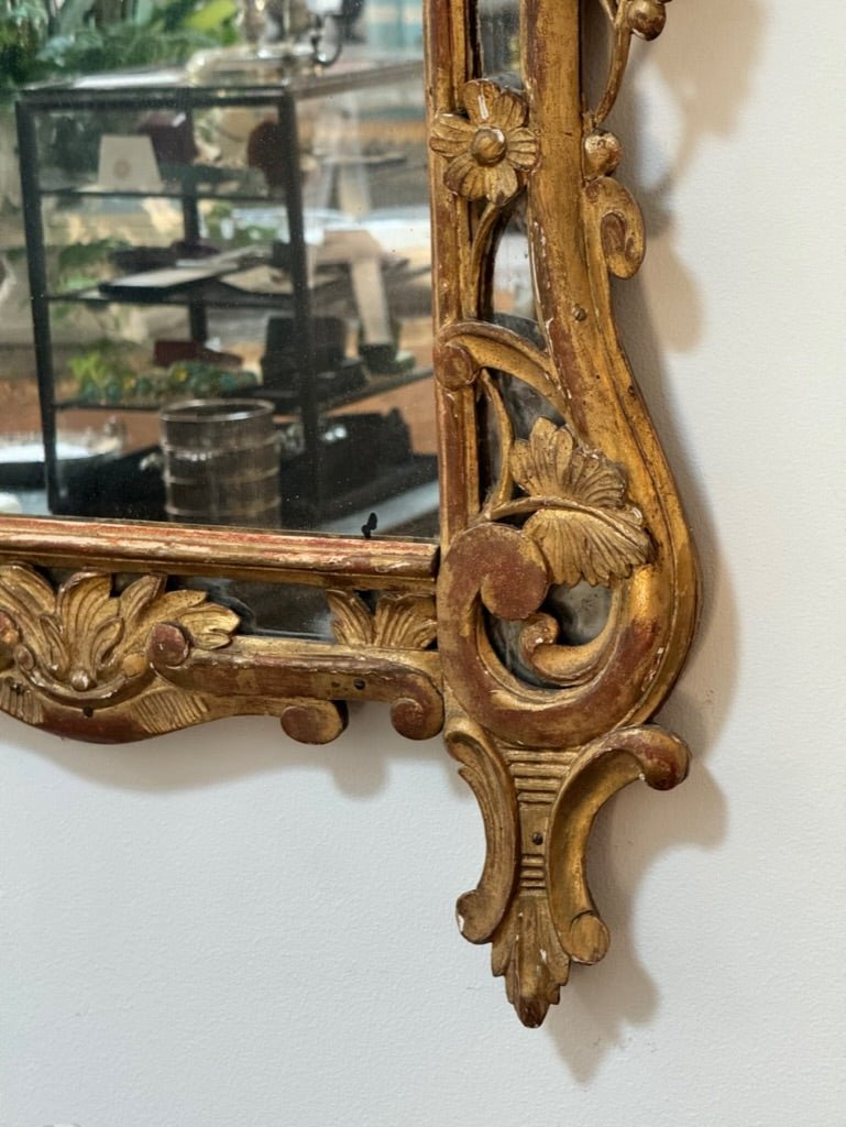 Louis XVI French Provincial carved and gilded mirror - Helen Storey Antiques