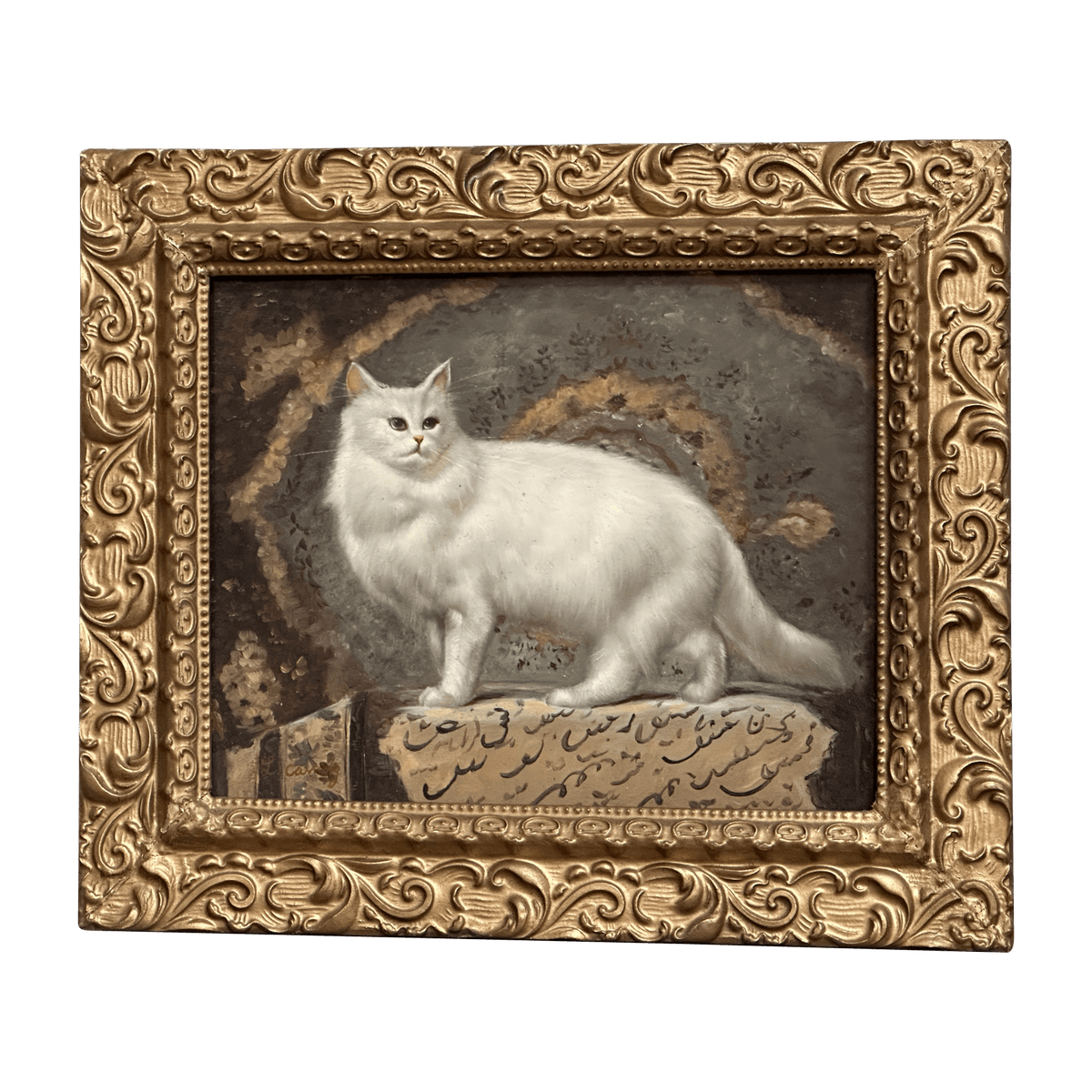 Oil on Board Depicting a White Cat - Helen Storey Antiques