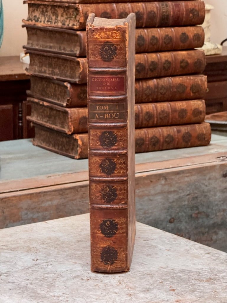 Set of 8 large French Books, Dictionaries, 18th Century Leather Bound - Helen Storey Antiques