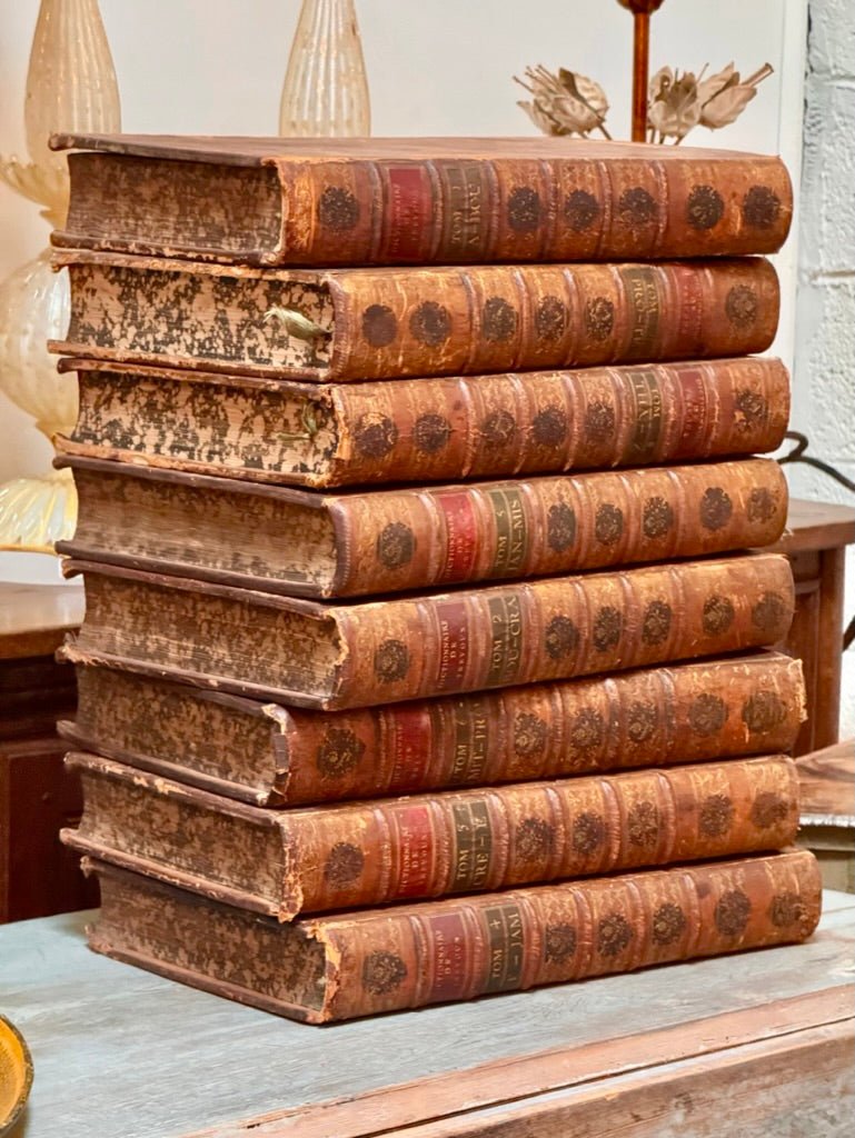 Set of 8 large French Books, Dictionaries, 18th Century Leather Bound - Helen Storey Antiques