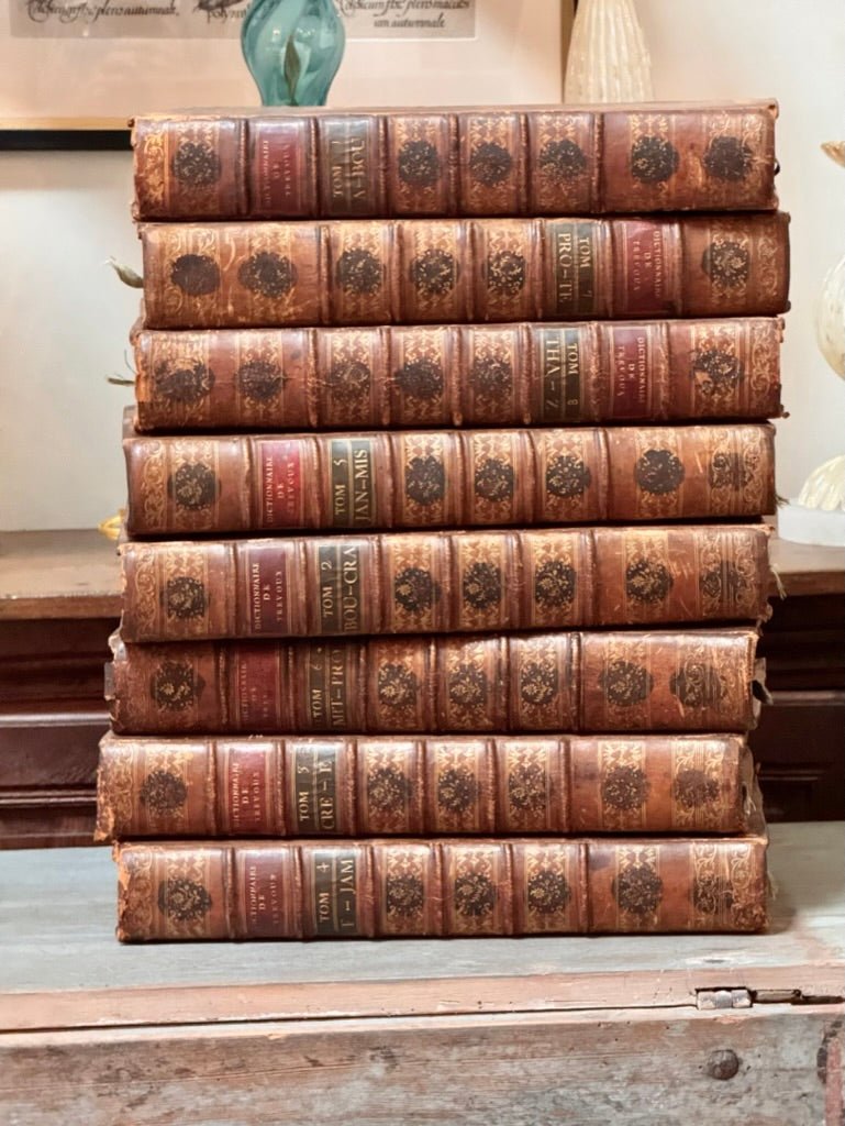 Set of 8 large French Books, Dictionaries, 18th Century Leather Bound - Helen Storey Antiques