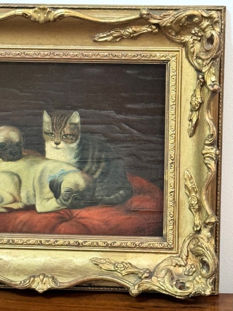 Two Pugs and a Cat 19th Century Oil Painting - Helen Storey Antiques