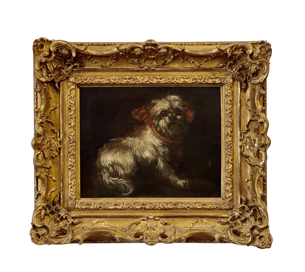 WHITE DOG WITH RED BOW, OIL ON CANVAS, FRANCE - Helen Storey Antiques