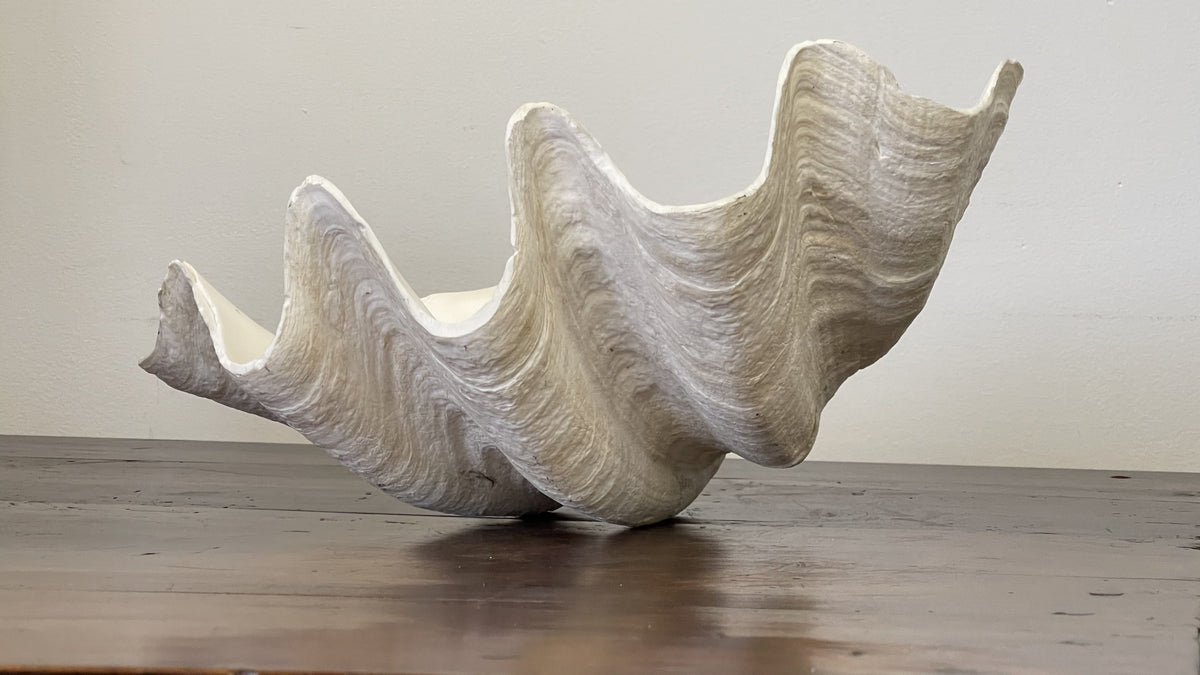 Decorative Object - GIANT CLAM SHELLS